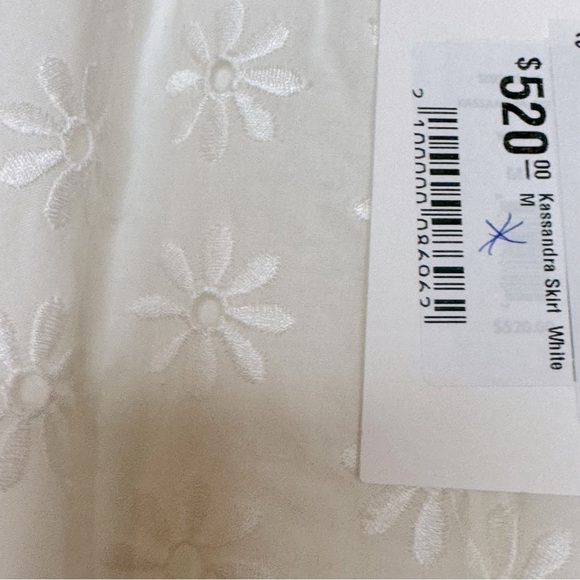 Caroline Constas Skirt - Picture 7 of 9